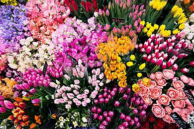 三上真司表示没有兴趣再制作《生化危机》系列